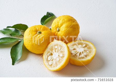 香櫞 香櫞 71651028