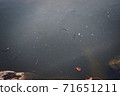 Let's feel the autumn atmosphere at Shinjeong Lake 71651211