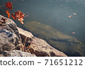 Let's feel the autumn atmosphere at Shinjeong Lake 71651212