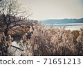 Let's feel the autumn atmosphere at Shinjeong Lake 71651213