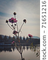 Let's feel the autumn atmosphere at Shinjeong Lake 71651216