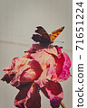 Let's feel the autumn atmosphere at Shinjeong Lake 71651224