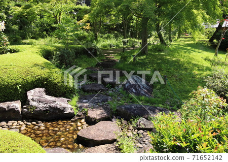 Summer in the Ikezumi strolling garden Summer in the Ikezumi strolling garden 71652142