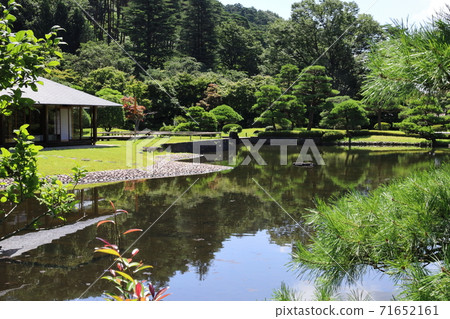 Summer in the Ikezumi strolling garden Summer in the Ikezumi strolling garden 71652161