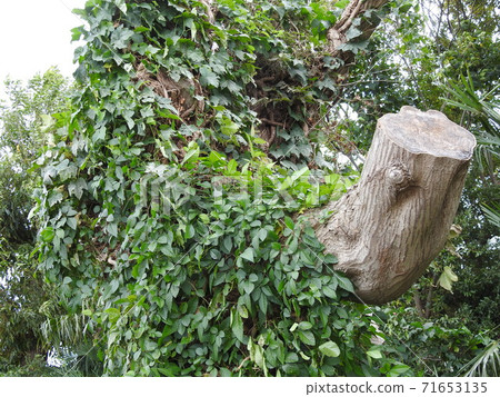 長廊！ .. ..活力！ !! .. ..我很好！ !! .. .. （笑） .. 71653135