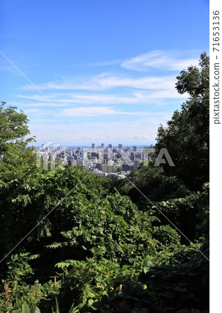 札幌城市景觀(旭山紀念公園) 札幌城市景觀(旭山紀念公園) 71653136