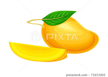 Mature Orange Mango with Cutout Section Vector Illustration 71653805