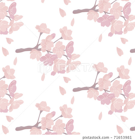 櫻花圖案手繪插畫 櫻花圖案手繪插畫 71653981