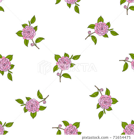 Seamless pattern with Japanese camellia ornamental plant 71654475