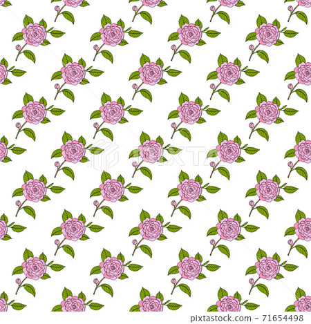 Seamless pattern with Japanese camellia ornamental plant 71654498