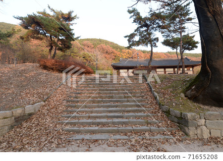 Stone steps with fallen leaves 71655208