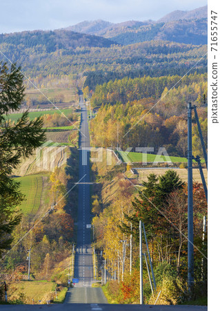 北海道上富良野町清晨過山車路 71655747