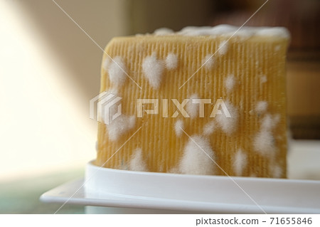 moldy cheese. cheese with mold mushrooms. bad cheese. unhealthy food moldy cheese. cheese with mold mushrooms. bad cheese. unhealthy food 71655846