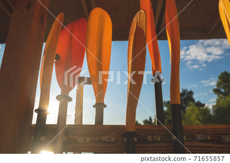 blades of paddles various colors , paddling concept 71655857