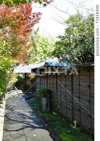Autumn leaves near Jozanen Shisenkaku Autumn leaves near Jozanen Shisenkaku 71656800