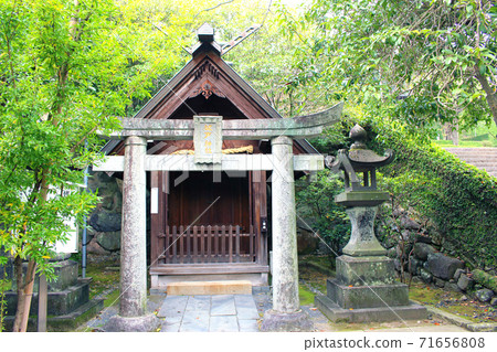 Kaedo Shrine next to the approach torii and worship hall Kaedo Shrine next to the approach torii and worship hall 71656808