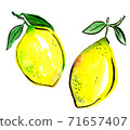 Two lemons with leaves isolated, hand drawn. Kitchen design. 71657407