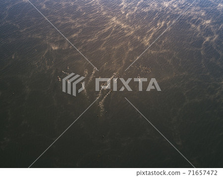 Morning of the river 71657472