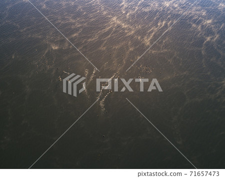 Morning of the river Morning of the river 71657473