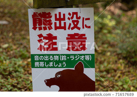 Bear bear out attention Bear bear out attention 71657689