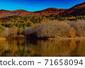 Zao Mountains Late Autumn 71658094