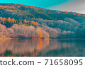 Fantastic autumn leaves 71658095
