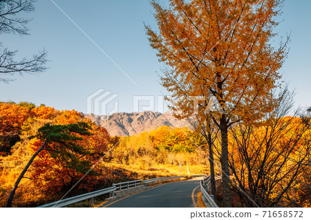 Tongdosa temple mountain hiking road at autumn in Yangsan, Korea 71658572