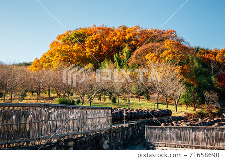 Tongdosa temple Seowoonam at autumn in Yangsan, Korea 71658690