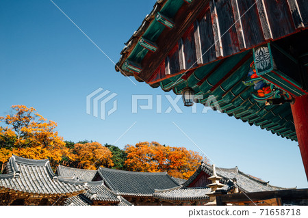 Autumn of Tongdosa temple, Unesco world heritage in Yangsan, Korea 71658718