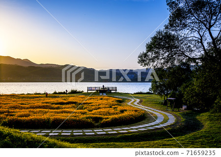 Morning in the park 71659235