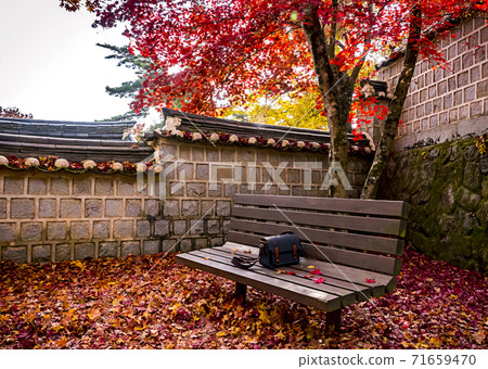 Autumn bench 71659470