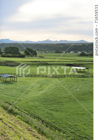 牧場風光（北海道新幹町） 71659533