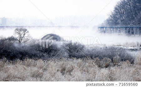 The riverside that blooms in the mist 71659560