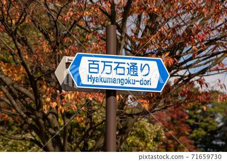 道路標誌（引導標誌）“道路的通用名稱”。 （石川縣金澤市“ Hyakumangoku Dori”） 71659730