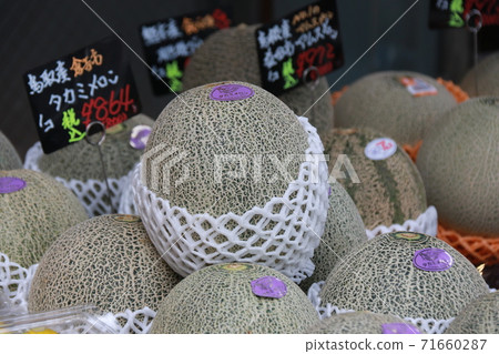 Takami Melon Takami Melon 71660287