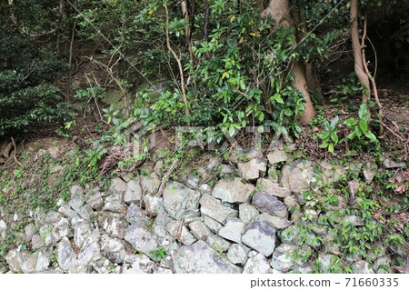 Kanegasaki Castle 71660335