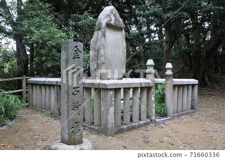 Kanegasaki Castle 71660336