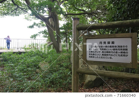 金崎城堡 金崎城堡 71660340