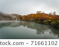 Landscape of autumn leaves in a foggy swamp 71661102