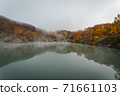 Landscape of autumn leaves in a foggy swamp 71661103