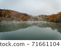 Landscape of autumn leaves in a foggy swamp 71661104