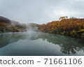 Landscape of autumn leaves in a foggy swamp 71661106