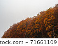 Scenery of autumn leaves in the mountains with thick fog 71661109