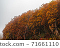 Scenery of autumn leaves in the mountains with thick fog 71661110