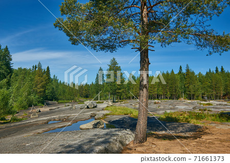 Petroglyphs in Karelia, Belomorsk district, Russia. Petroglyphs in Karelia, Belomorsk district, Russia. 71661373