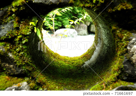 中津谷 中津谷 71661697