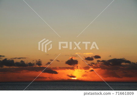 Golden road 71661809