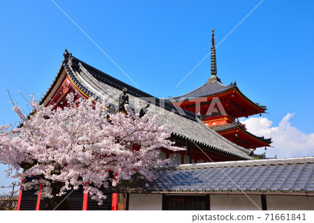 Spring Kiyomizu Temple Spring Kiyomizu Temple 71661841