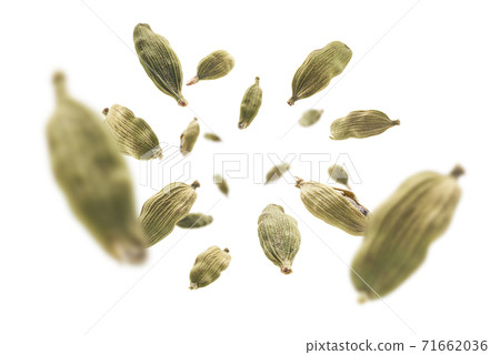 Cardamom pods levitate on a white background 71662036