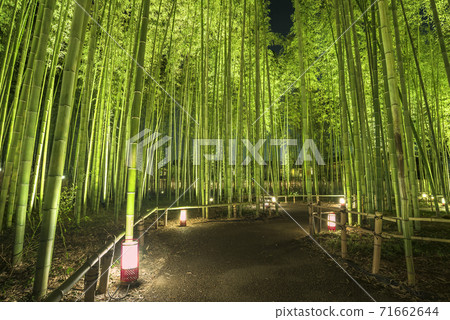 Arashiyama Hanatoro Takebayashi點亮 Arashiyama Hanatoro Takebayashi點亮 71662644